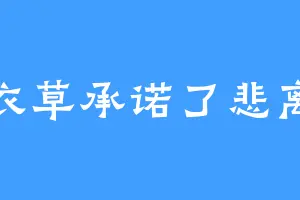 薰衣草承诺了悲离伤