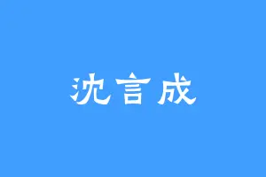 沈言成