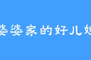 婆婆家的好儿媳