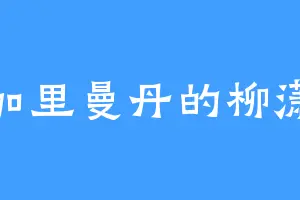加里曼丹的柳潇