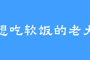 想吃软饭的老大