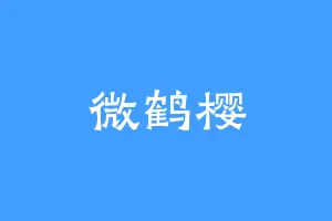 微鹤樱