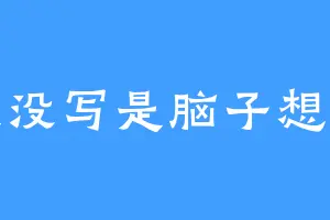 我没写是脑子想的