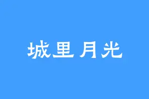 城里月光