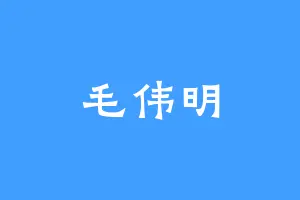 毛伟明