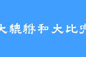 大貔貅和大比兜