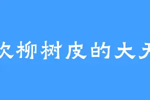 喜欢柳树皮的大天尊