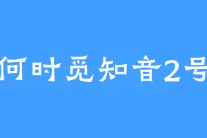 何时觅知音2号