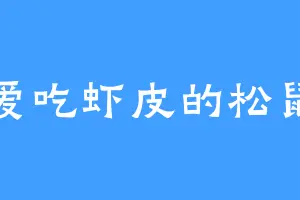 爱吃虾皮的松鼠