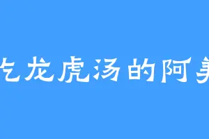 爱吃龙虎汤的阿美利