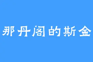 那丹阁的斯金