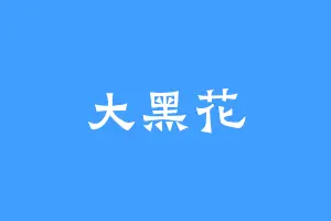 大黑花