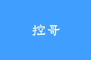 控哥