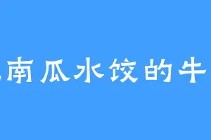 爱吃南瓜水饺的牛金天