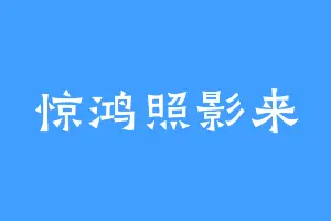 惊鸿照影来