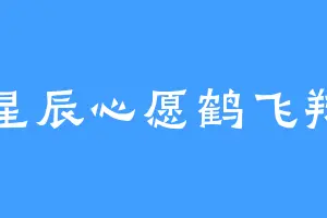 星辰心愿鹤飞翔