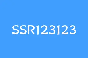 SSR123123