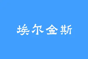 埃尔金斯