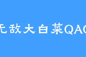 无敌大白菜QAQ