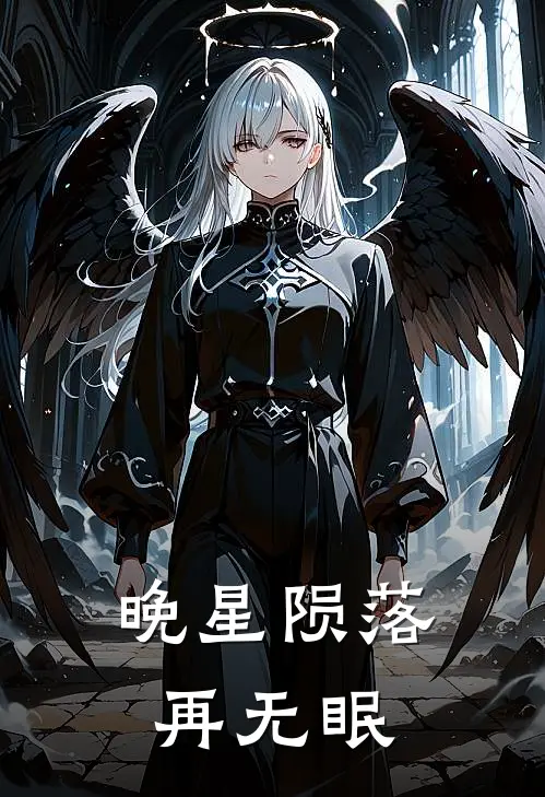 晚星陨落再无眠