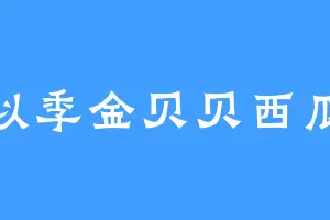 似季金贝贝西瓜