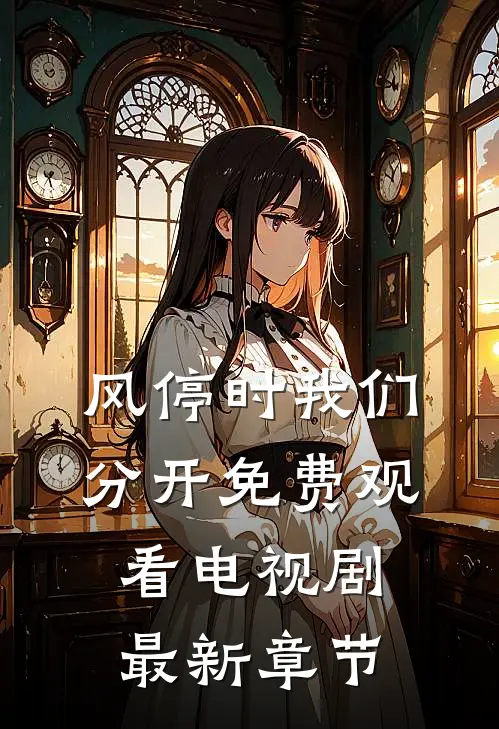风停时我们分开免费观看电视剧最新章节