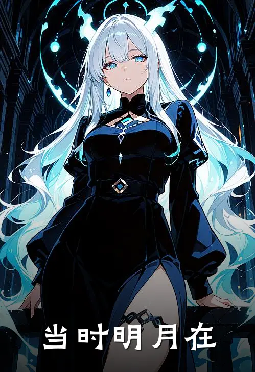 当时明月在