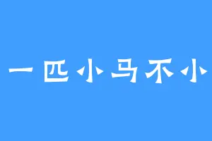 一匹小马不小