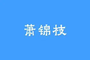 萧锦枝