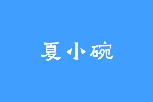 夏小碗