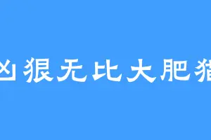 凶狠无比大肥猫
