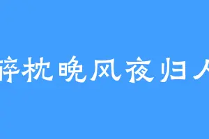 醉枕晚风夜归人