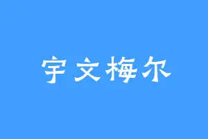 宇文梅尔