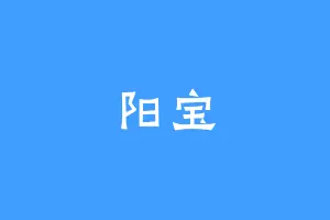 阳宝