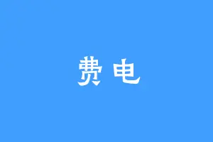 费电
