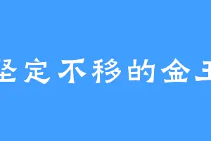 坚定不移的金王
